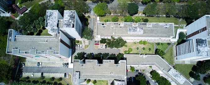 Margaret Ville Perspective Top Down